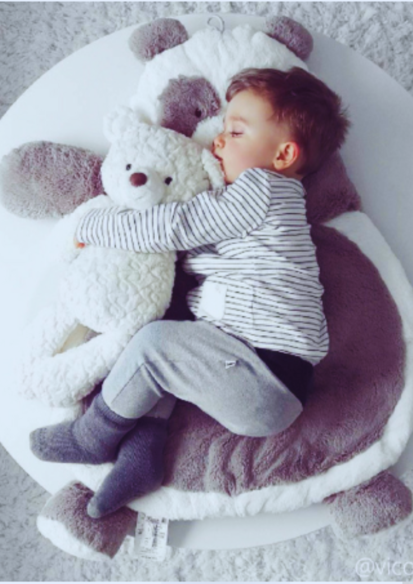 Oso Putty- Mary Meyer